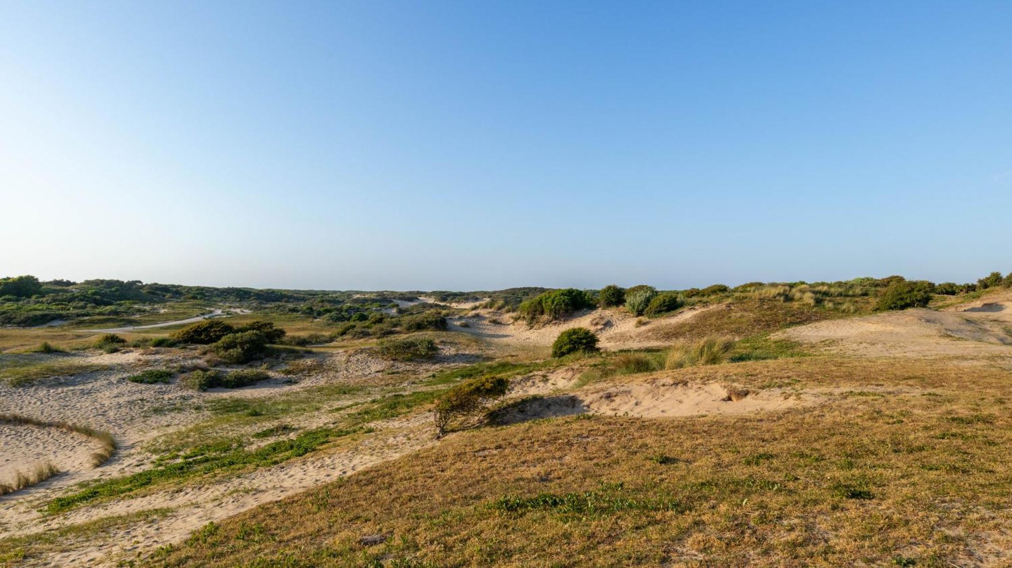 Beach Lodge 24 - Noordwijk Aan Zee - Met Eigen Tuin Экстерьер фото